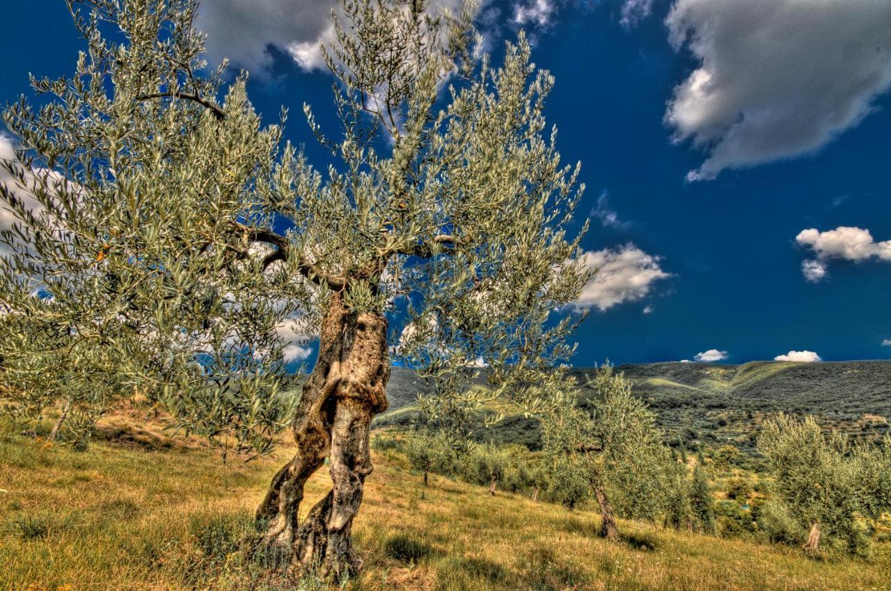 فندق Borgo Solamore كورتونا المظهر الخارجي الصورة